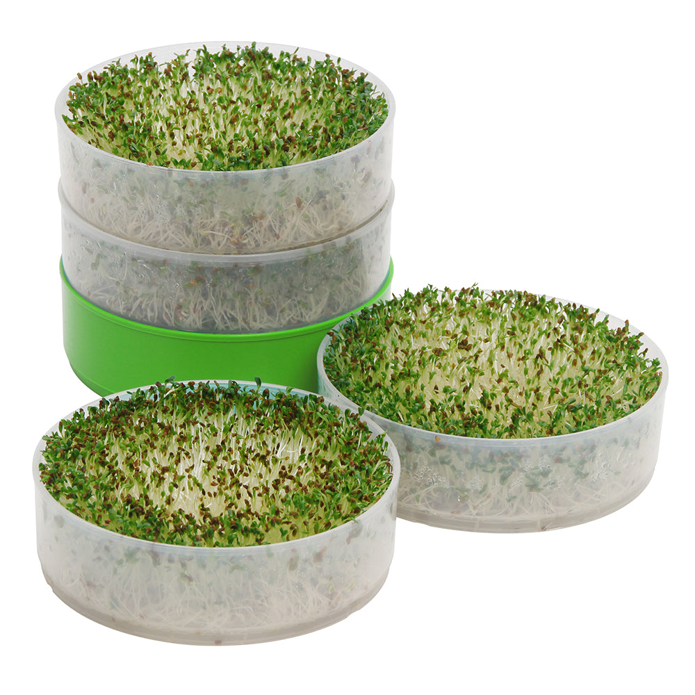 Deluxe Kitchen Crop Seed Sprouter
