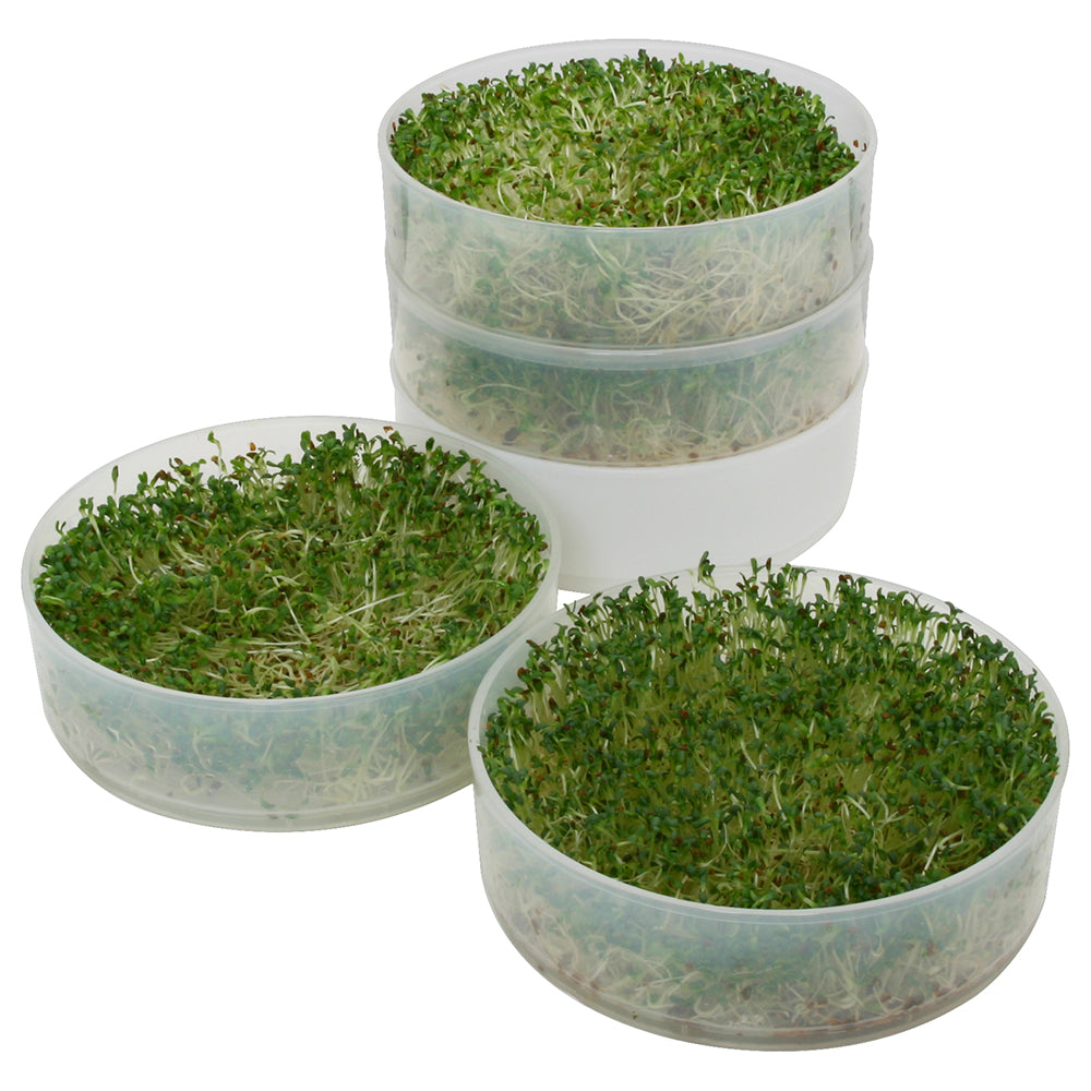 Kitchen Crop Sprouter with Alfalfa Seeds
