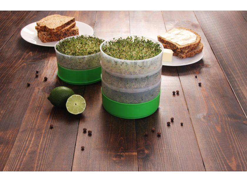 Deluxe Kitchen Crop Sprouter So Easy to Use