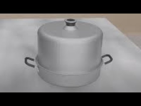 Steam canner canadian tire 2025